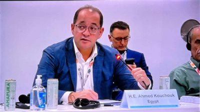 وزير المالية: مصر تستثمر في مشروعات تنموية مستدامة ومتوافقة مع المناخ