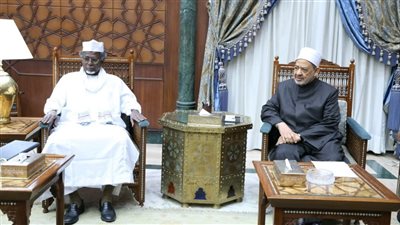 لدينا 500 طالب.. شيخ الأزهر لوزير التعليم العالي التشادي: نعتز بعلاقاتنا التاريخية