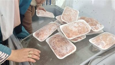 حملات تفتيش مكبرة بالمحلة لضبط الأسعار وحماية المواطنين من المخالفات الغذائية