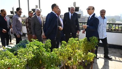 زراعة الأسطح في أسيوط… مشروع طلابي يتحول إلى نموذج للاستدامة