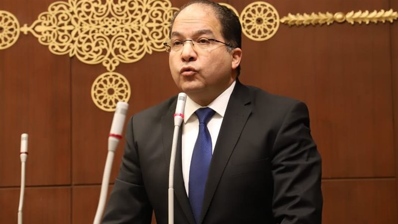  النائب عادل اللمعي، عضو مجلس الشيوخ
