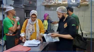 غلق وتشميع 53 منشأة وتحرير 650 محضرا متنوعا في حملات مكثفة بالإسكندرية