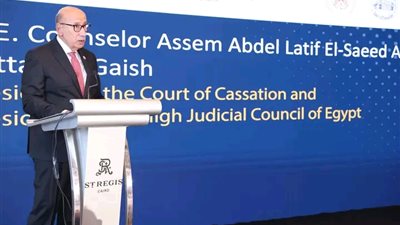 رئيس محكمة النقض يشهد إطلاق مؤتمر البنك الدولي حول تحديث العدالة في مصر 