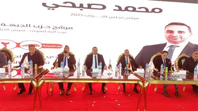 مؤتمر جماهيري حاشد لـ«الجبهة الوطنية» بالمنوفية دعما للمرشح محمد صبحي في انتخابات النواب
