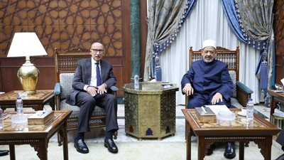 شيخ الأزهر: القضاة ركيزة أساسية في إرساء العدالة وبسط الأمن والاستقرار في المجتمعات 
