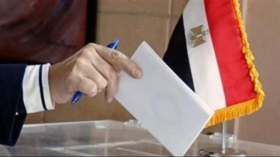 الإدارية العليا: 102 طعن على نتيجة انتخابات مجلس النواب 2025 حتى الآن