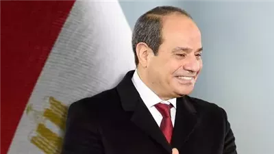 كل عام وسيادته بخير.. متحدث الرئاسة ينشر فيديو تهنئة للرئيس السيسي بعيد ميلاده