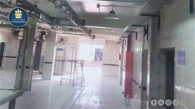 تسليم 20 مجزرًا خلال الفترة الماضية.. خطة الحكومة لتطوير المجازر 