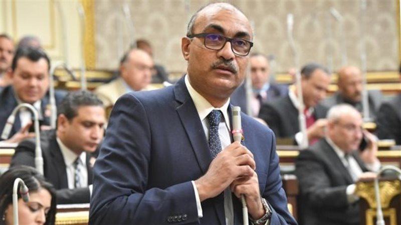 النائب إيهاب منصور، وكيل لجنة القوى العاملة