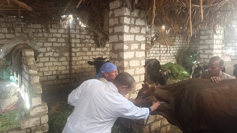 مديرية الطب البيطري