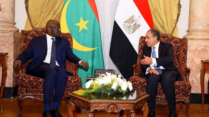 وزير الخارجية المصري ونظيره الموريتاني 