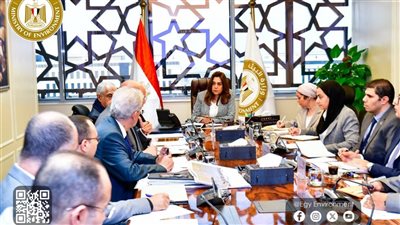 التنمية المحلية تبحث تعزيز الاستثمار البيئي مع مجموعة طلعت مصطفى