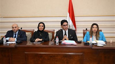  اللجنة الاقتصادية بالشيوخ تجتمع لبحث تعديلات قانون ضريبة العقارات