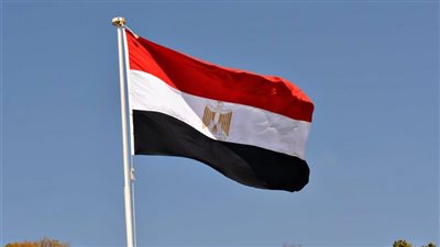 مصر تشارك في احتفالية اليوم العالمي لحقوق الإنسان