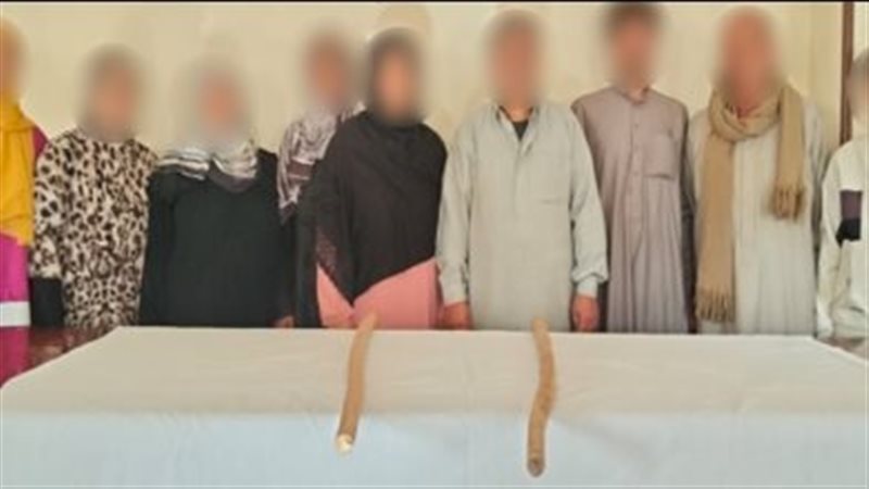 المتهمون