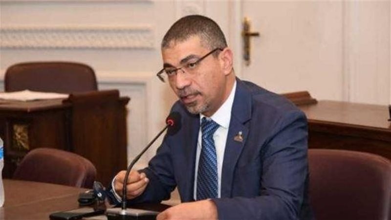 النائب محمد البدري، عضو مجلس الشيوخ