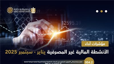 954.2 مليار جنيه تمويل و46.8 مليار جنيه تعويضات للقطاع المالي والتأميني