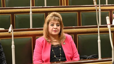 برلمانية: «إيديكس 2025» شهادة دولية على قوة الدولة المصرية وقدراتها الدفاعية