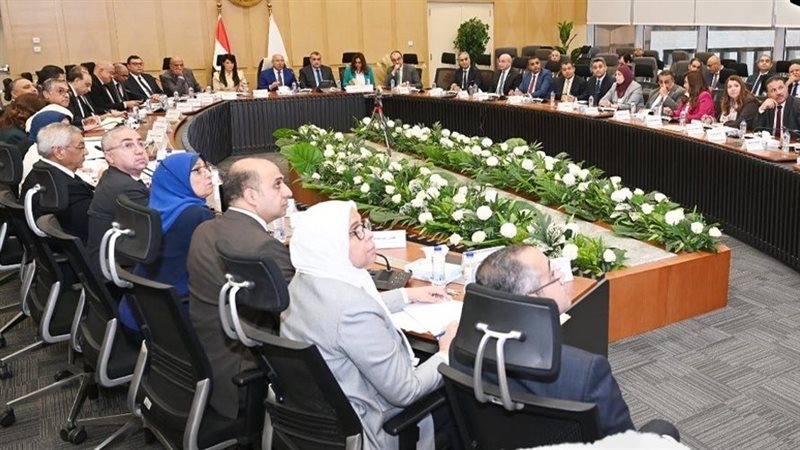 المجموعة الوزارية للتنمية الصناعية