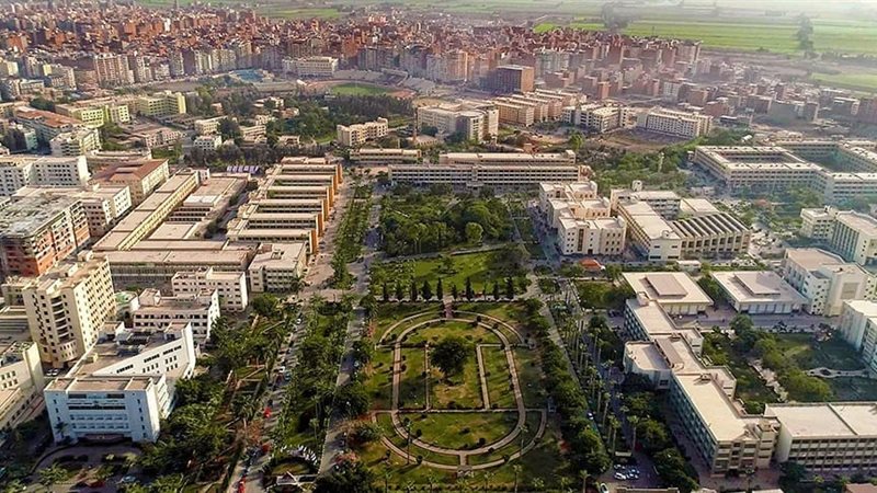 جامعة المنصورة 