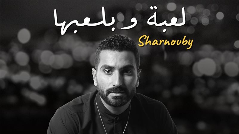 محمد الشرنوبي