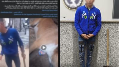 نبح عليه أمام منزله  .. ضبط مزارع  اعتدى على كلب بسوهاج