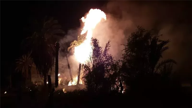 صورة أرشيفية 