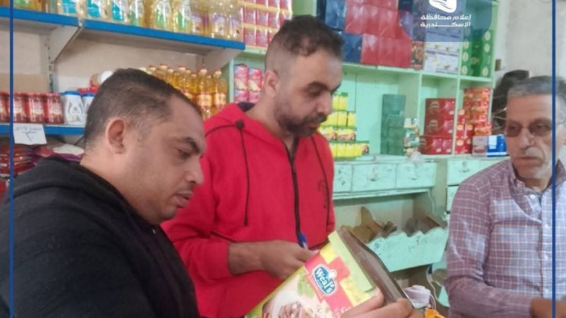 حملات تفتيشية بالإسكندرية