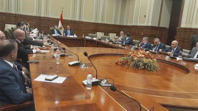تشريعية الشيوخ تتحرك لردع سرقات الكهرباء.. عقوبات مشددة وغرامات تصل لمليون جنيه