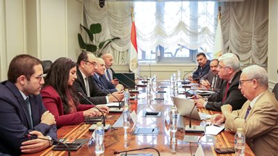  وزيرا قطاع الأعمال والتعليم العالي يناقشان مشروع إنشاء أول مدينة تعليمية في الدلتا
