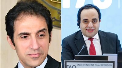 مصر تكتب التاريخ... أول مصري يقود المجلس التنفيذي للفاو بنجاح