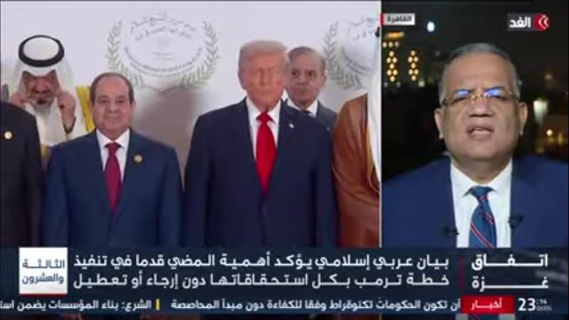 النائب محمود مسلم، عضو مجلس الشيوخ 