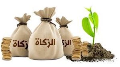في 15 نقطة.. تعرف على أهم أحكام زكاة المال في الشريعة الإسلامية