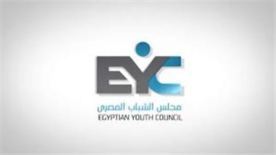 مجلس الشباب المصري يصدر تقريره الأول حول سير العملية وتحديات المشاركة