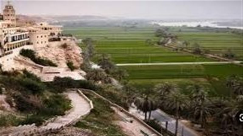 ارشيفية