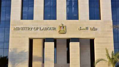 400 وظيفة للإناث فقط في 12 محافظة.. «العمل» تعلن التفاصيل
