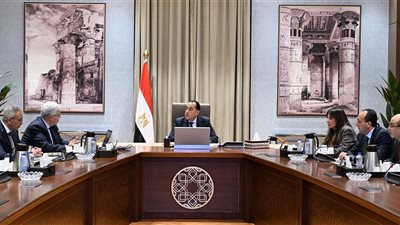رئيس الوزراء يتابع نتائج المبادرة الرئاسية 