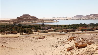 مطروح توفر 1100 فرصة عمل في محطة الضبعة النووية برواتب تصل لـ13 ألف جنيه