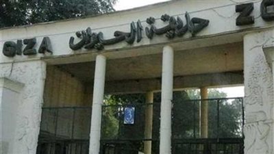 موعد افتتاح حديقة الحيوان بالجيزة بعد التطوير الشامل