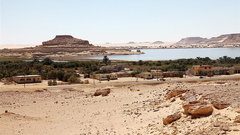 ارشيفية