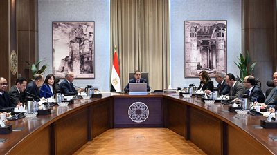 رئيس الوزراء يتابع الموقف التنفيذي لجهود مواجهة التعديات على النيل