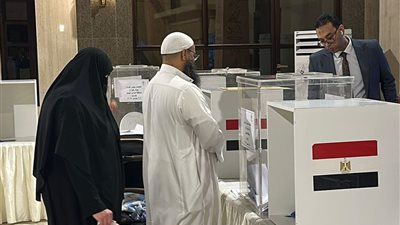 تفاصيل اليوم الأخير.. المصريون بالخارج يزحفون إلى صناديق الاقتراع