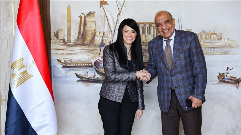وزيرا التخطيط والكهرباء