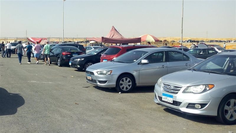 عربيات
