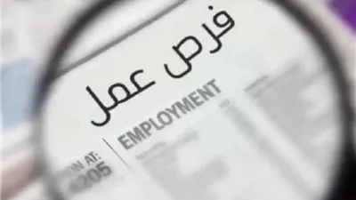 فرص عمل حكومية بقطاع الطاقة المتجددة قبل نهاية 2025