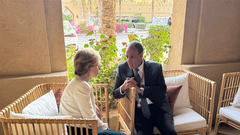 وزير الخارجية والهجرة وشئون المصريين بالخارج