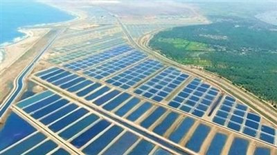 حين تتكلم المياه.. كنز أزرق بكفر الشيخ يكفي الحاضر ويؤمّن الغد