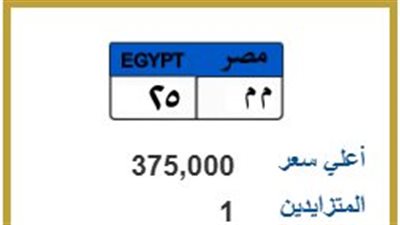 قبل غلق المزاد.. 375 ألف جنيه ثمن لوحة «م م 25»