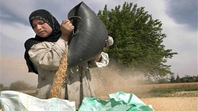 فلاحة مصرية