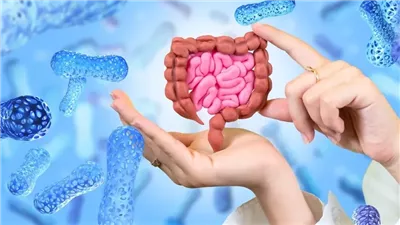 أهمية التوازن بين البكتريا النافعة والضارة.. عادات غذائية تضر بميكروبيوم الأمعاء 